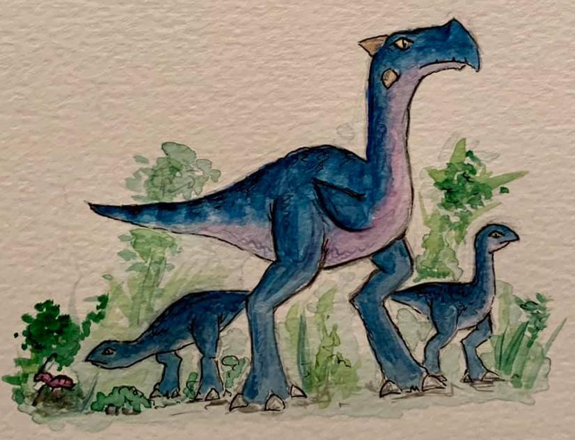 An Abrok with its hatchlings An Abrok with its hatchlings