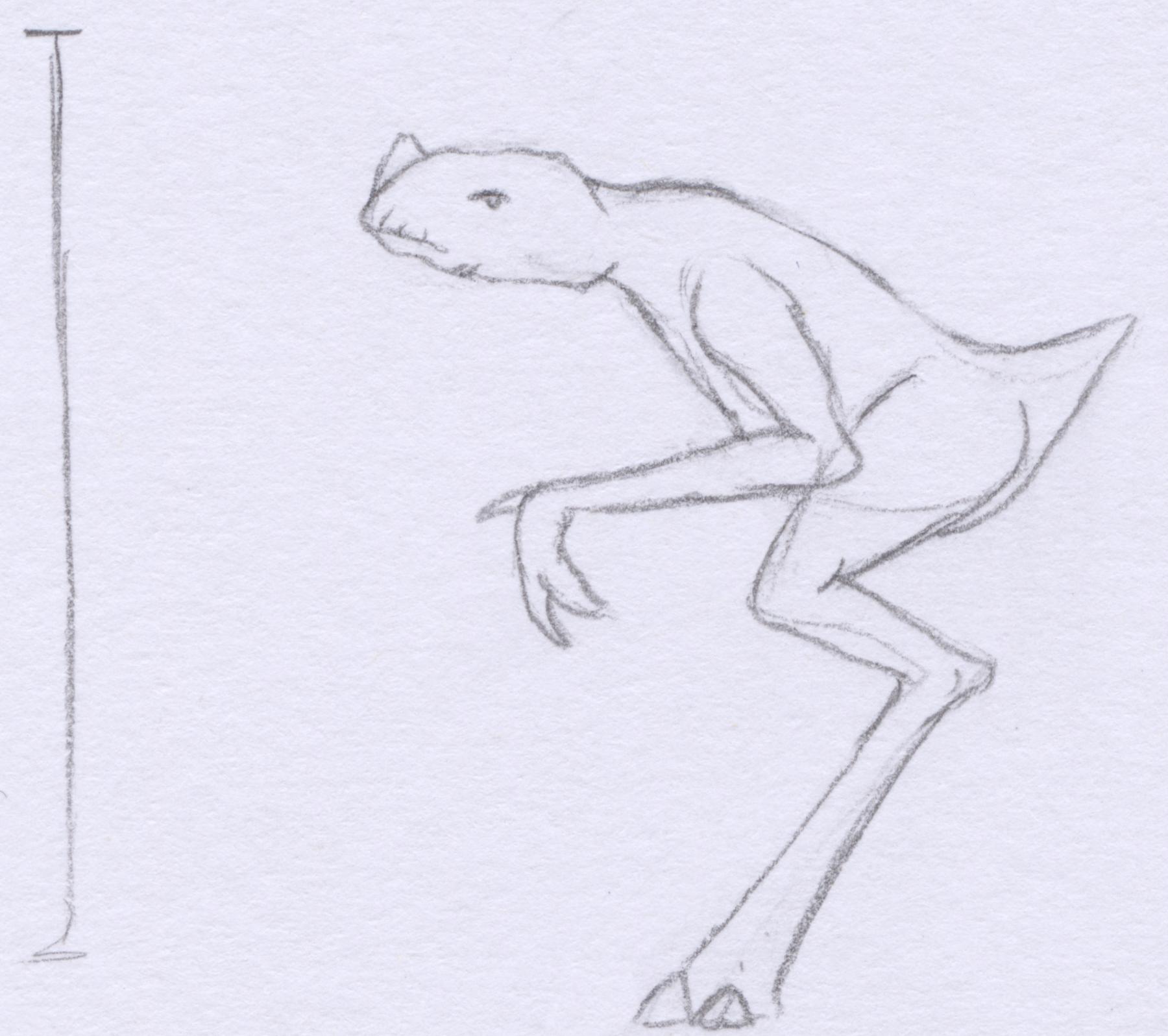 An Arisianii An Arisianii