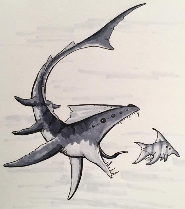 A blueback droba chasing a kyala A blueback droba chasing a kyala