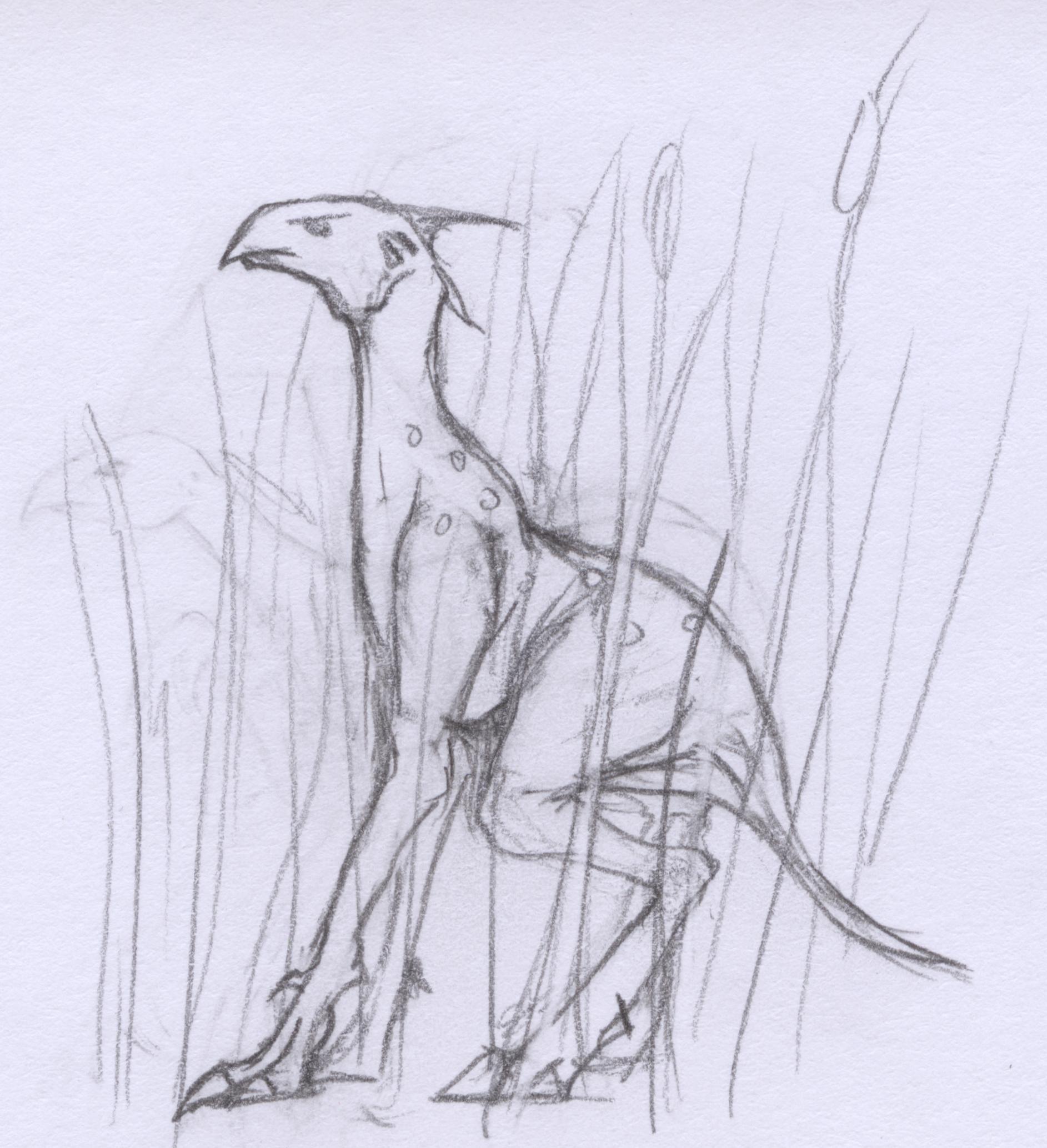 Cryptid 20 Cryptid 20
