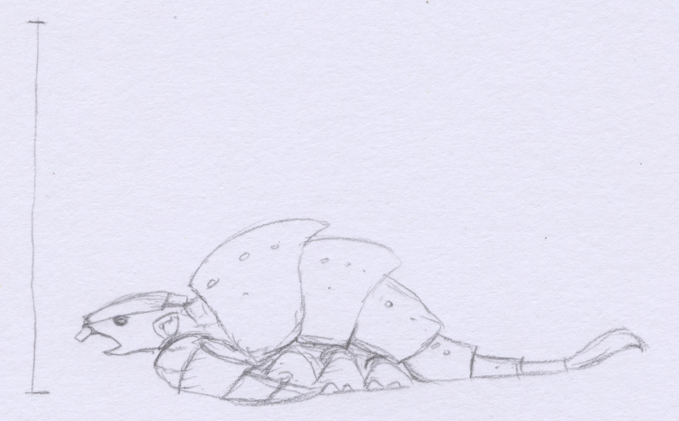 Cryptid 22 Cryptid 22