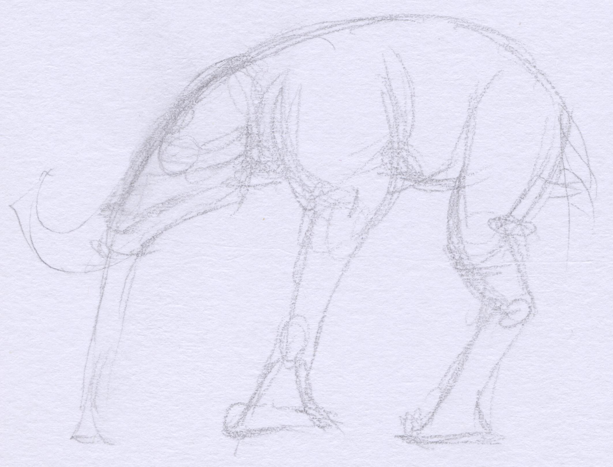 Cryptid 24 Cryptid 24