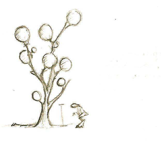 A Gerilon Tree A Gerilon Tree