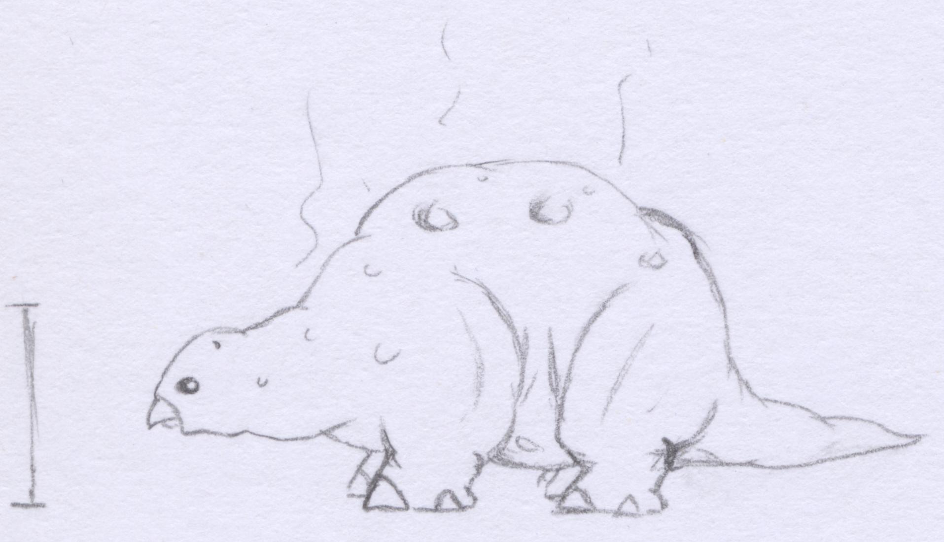 A Slaimor A Slaimor