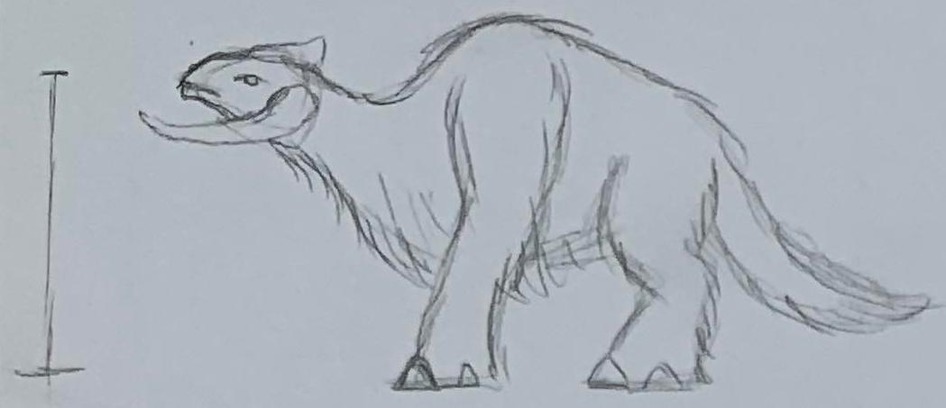 A Yirnak A Yirnak