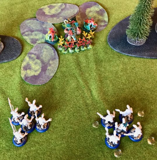 Turn 1 - The Engu approach